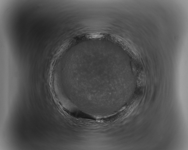 X0000087691441200705111311