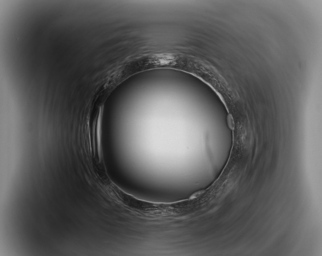 X0000087691442200705111311