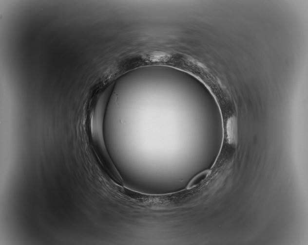 X0000087691443200705111311
