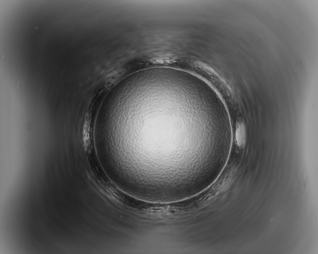 X0000087691444200705111311