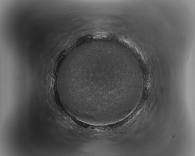 X0000087691445200705111311