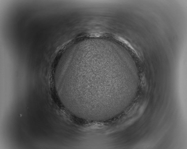 X0000087691446200705111311
