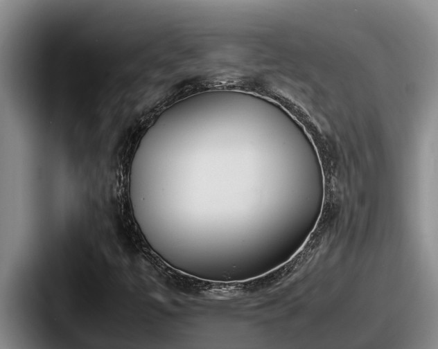 X0000087691447200705111311