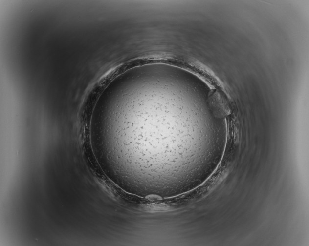 X0000087691448200705111311