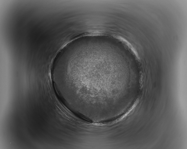X0000087691449200705111311