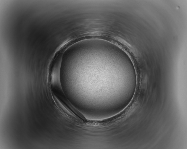 X0000087691450200705111311