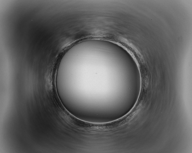X0000087691451200705111311