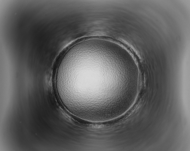 X0000087691452200705111311