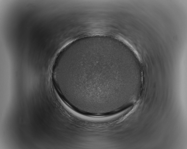 X0000087691453200705111311