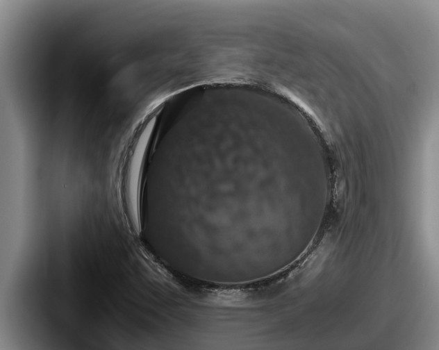 X0000087691455200705111311