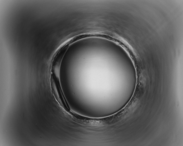 X0000087691456200705111311