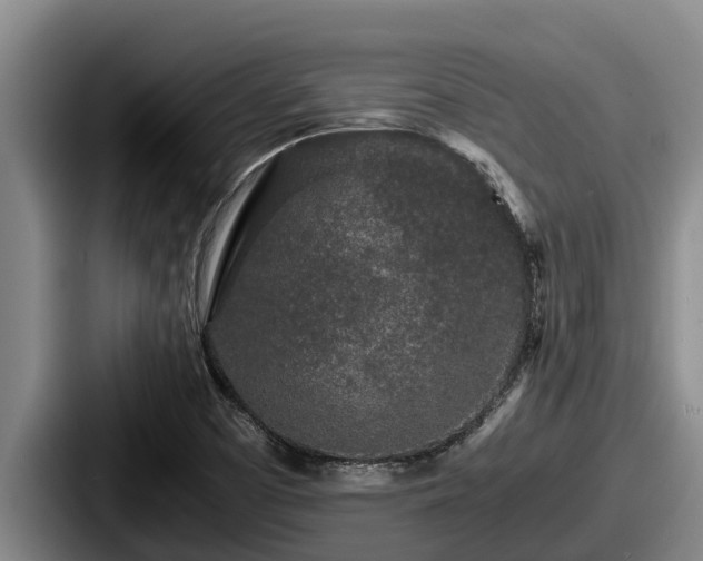 X0000087691457200705111311
