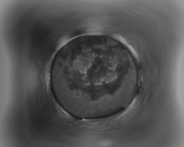 X0000087691459200705111311