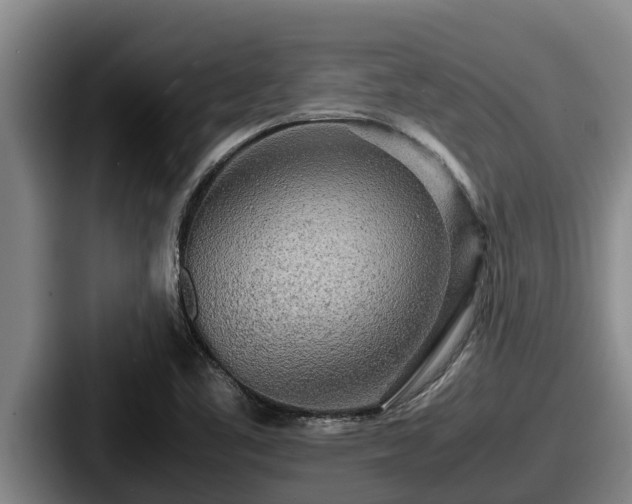 X0000087691461200705111311
