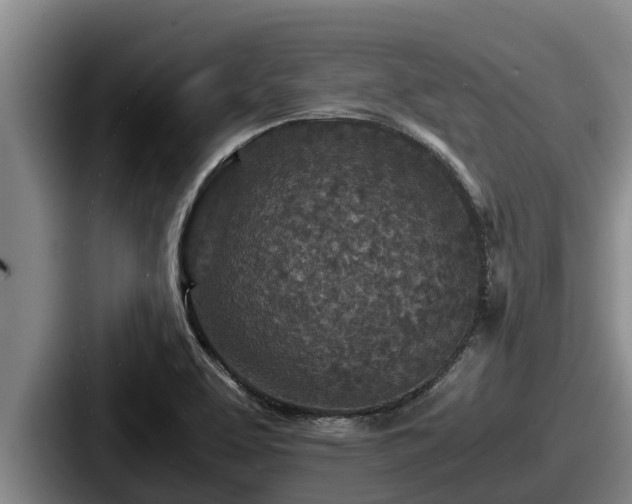 X0000087691463200705111311