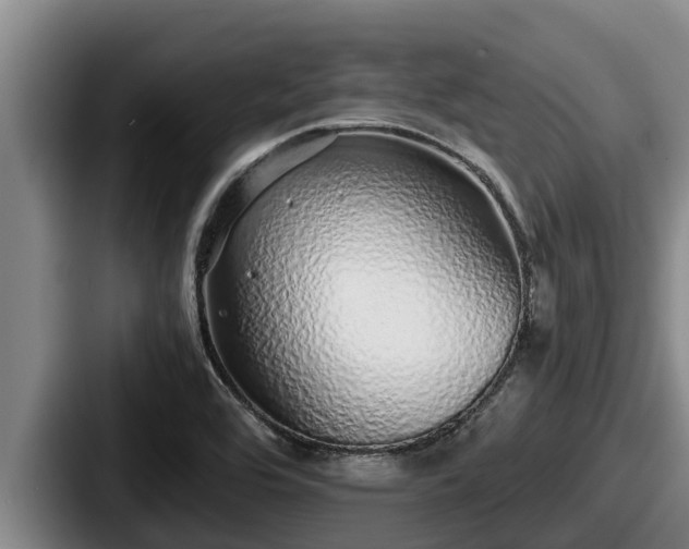X0000087691464200705111311