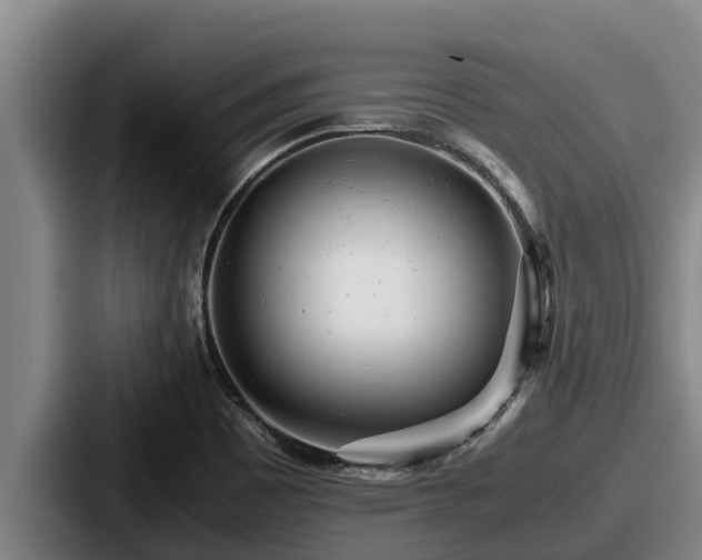 X0000087691465200705111311