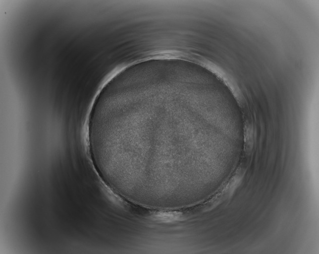 X0000087691466200705111311