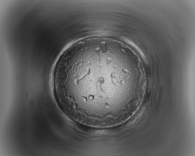 X0000087691467200705111311