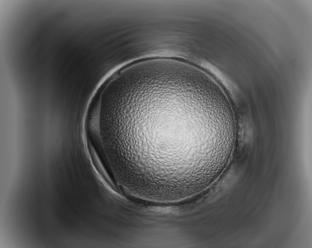 X0000087691468200705111311