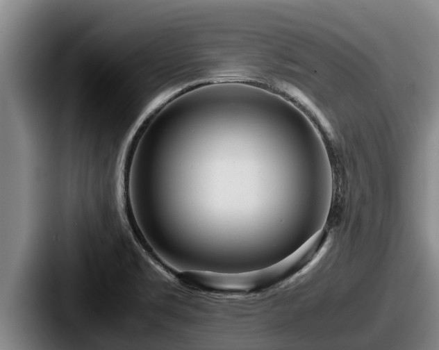 X0000087691469200705111311