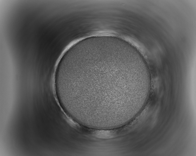 X0000087691470200705111310