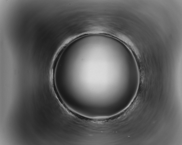 X0000087691472200705111310