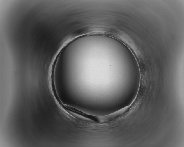 X0000087691475200705111310