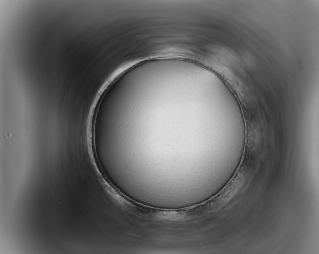 X0000087691478200705111310