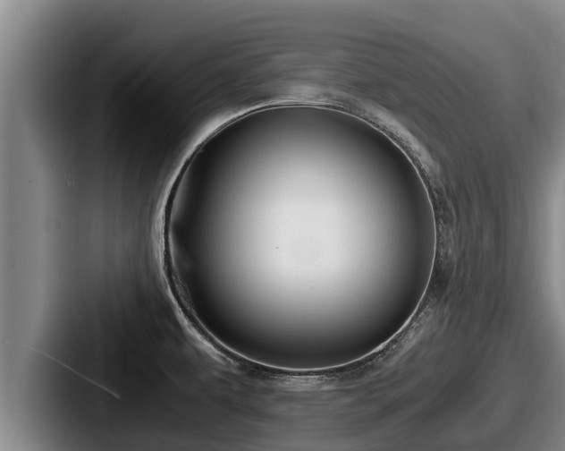 X0000087691479200705111310