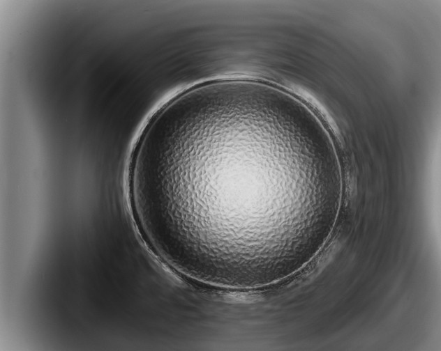 X0000087691480200705111310
