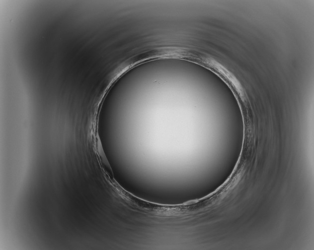 X0000087691481200705111310