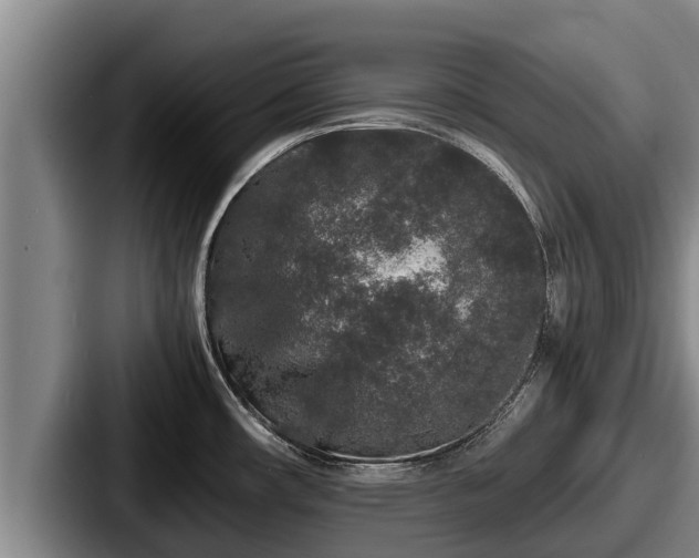 X0000087691482200705111310