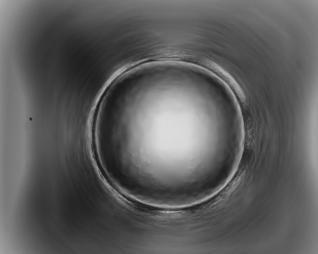 X0000087691483200705111310