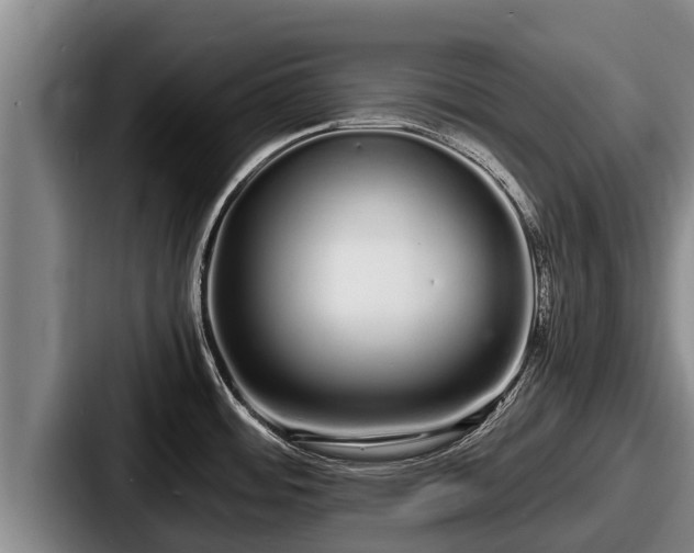 X0000087691484200705111310