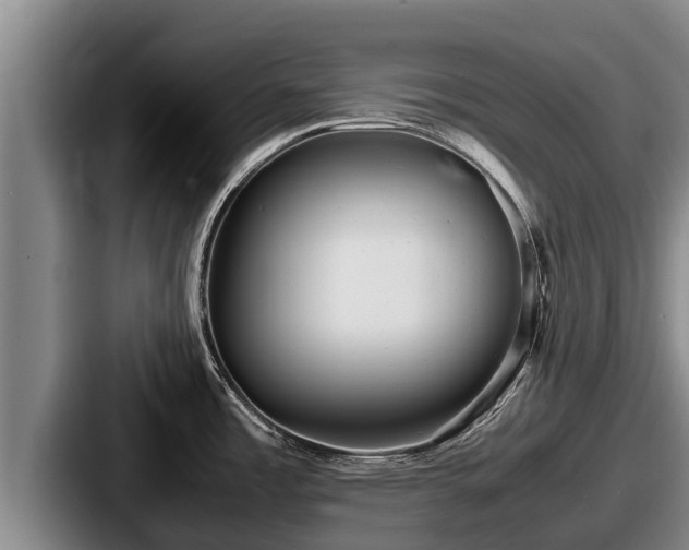 X0000087691485200705111310