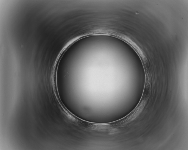 X0000087691486200705111310