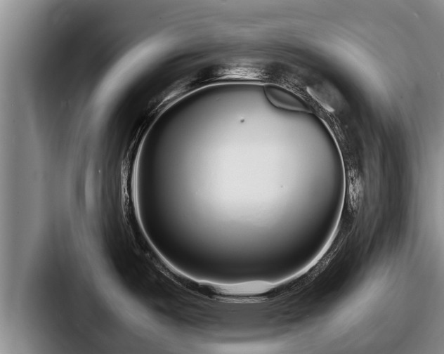 X0000087691487200705111310