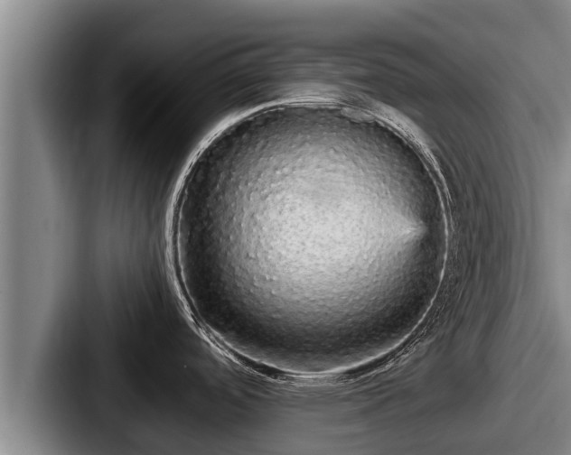 X0000087691488200705111310