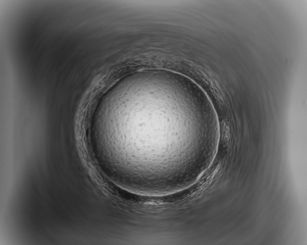 X0000087691489200705111310