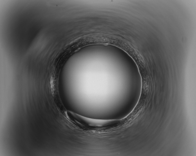 X0000087691490200705111310