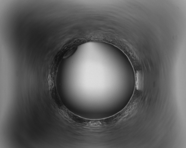 X0000087691491200705111310