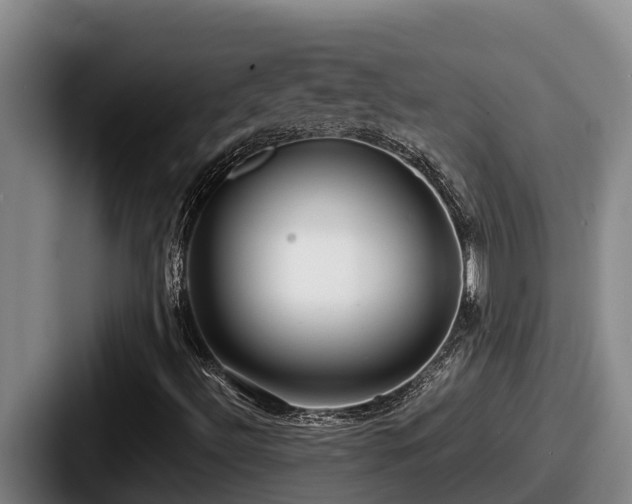 X0000087691492200705111310