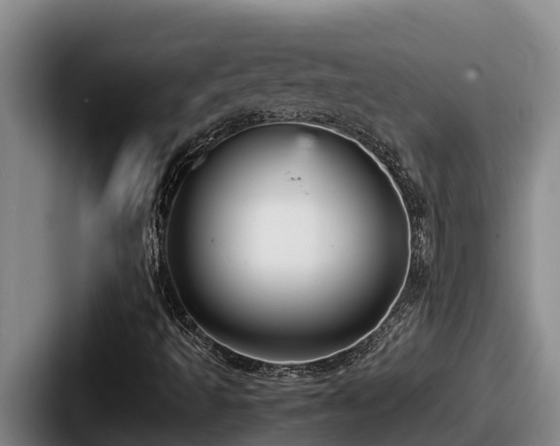 X0000087691493200705111310