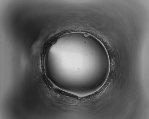 X0000087691494200705111310