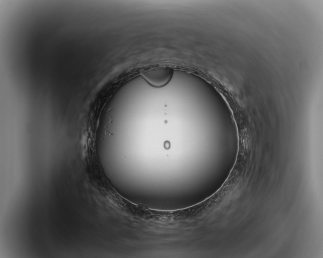 X0000087691495200705111310