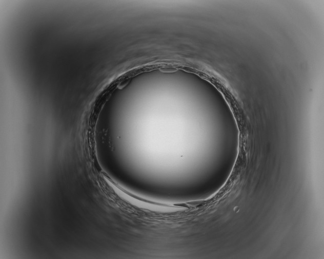 X0000087691496200705111310
