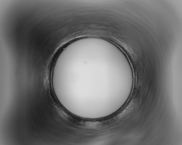 X0000087691498200705111310