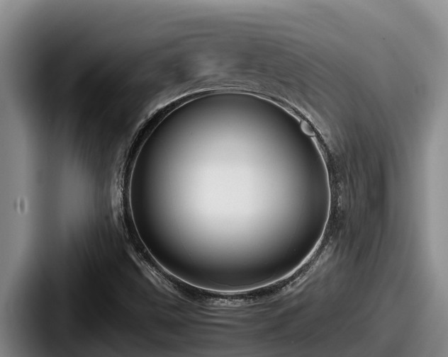 X0000087691499200705111310