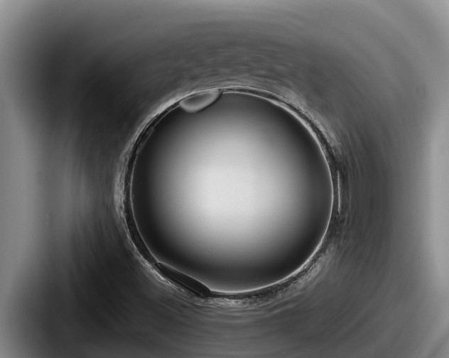 X0000087691500200705111310